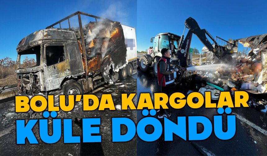 Bolu'da kargolar küle döndü