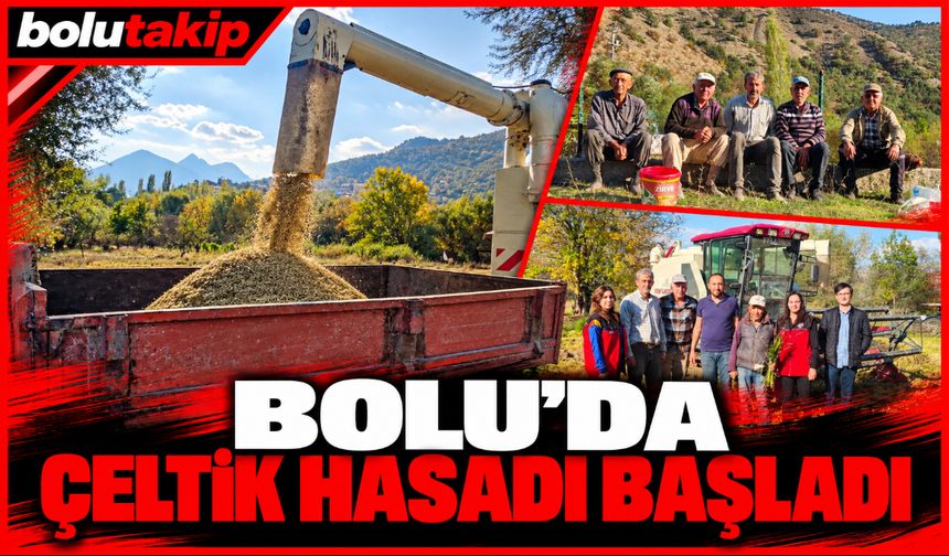 Bolu’da çeltik hasadı başladı