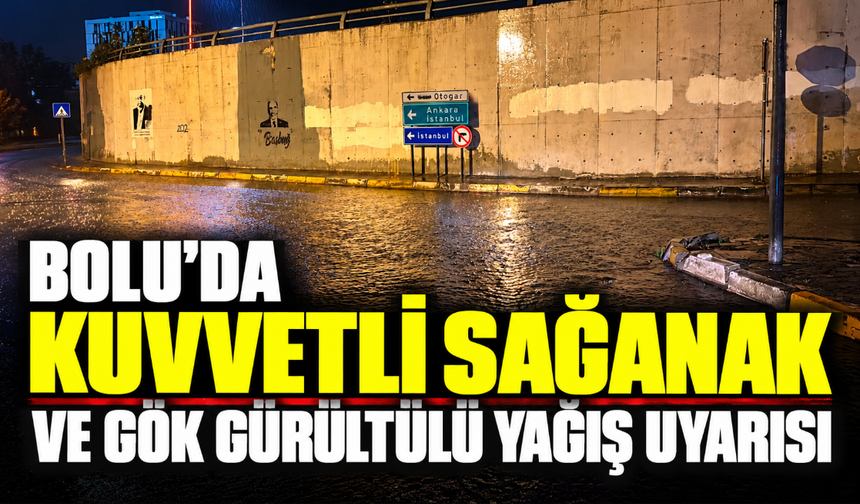 Bolu'da kuvvetli sağanak ve gök gürültülü yağış uyarısı