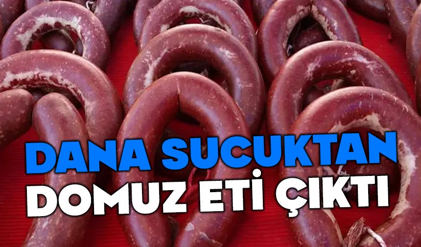 BAKANLIĞIN TAKLİT VE TAĞŞİŞ LİSTESİ GÜNCELLENDİ! DANA SUCUKTAN DOMUZ ETİ ÇIKTI