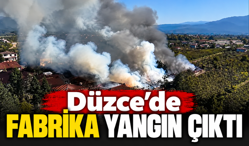 Düzce'de fabrika yangın çıktı