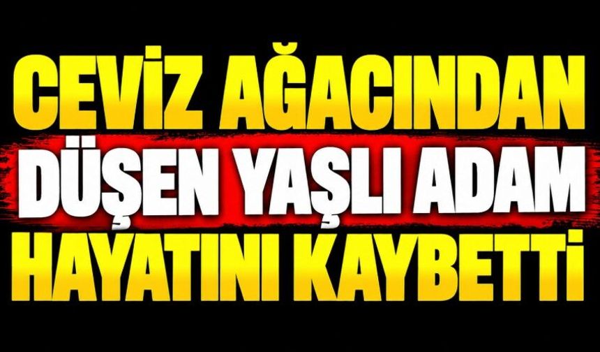 Ceviz ağacından düşen yaşlı adam hayatını kaybetti