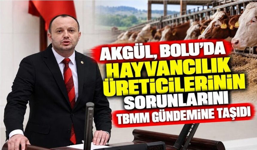 AKGÜL, BOLU’DA HAYVANCILIK ÜRETİCİLERİNİN SORUNLARINI TBMM GÜNDEMİNE TAŞIDI