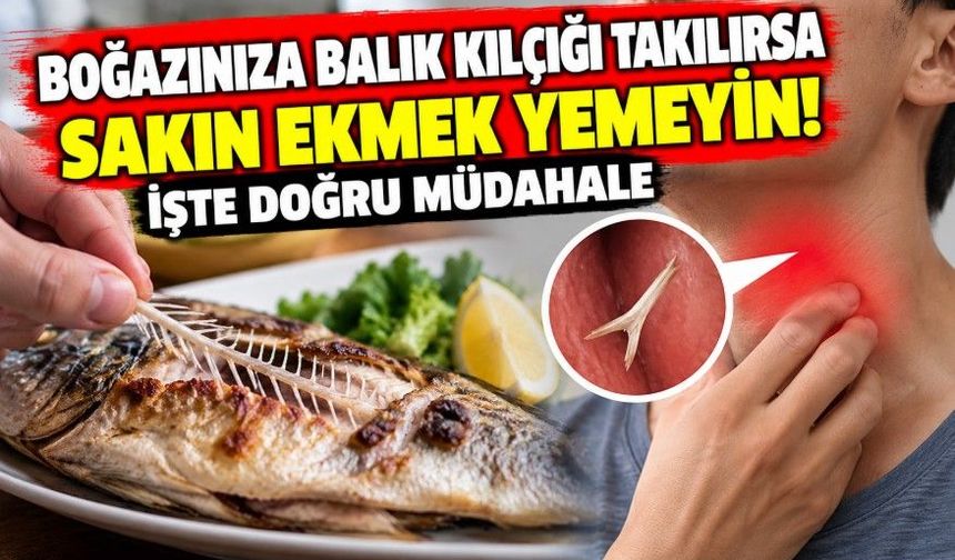 Boğazınıza balık kılçığı takılırsa sakın ekmek yemeyin! İşte doğru müdahale