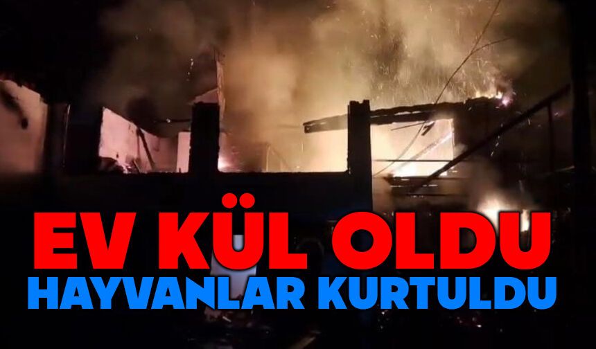Ev alevlere teslim oldu, hayvanlar son anda kurtarıldı