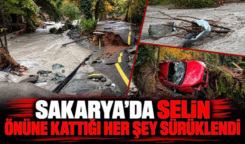 Sakarya'da selin önüne kattığı her şey sürüklendi