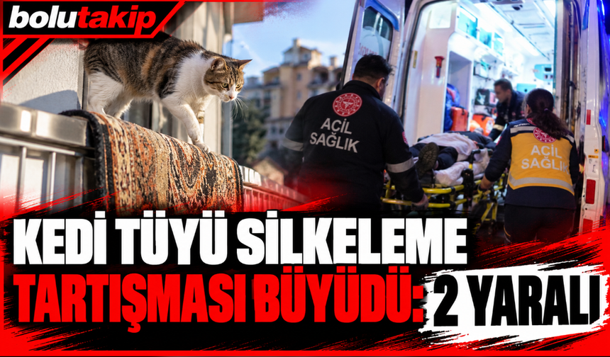 Kedi tüyü silkeleme tartışması büyüdü: 2 yaralı