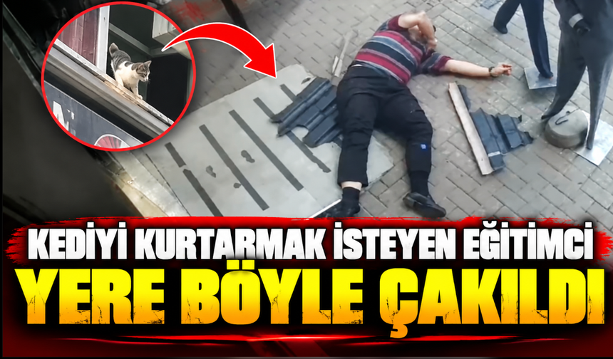 Kediyi kurtarmak isteyen eğitimci yere böyle çakıldı