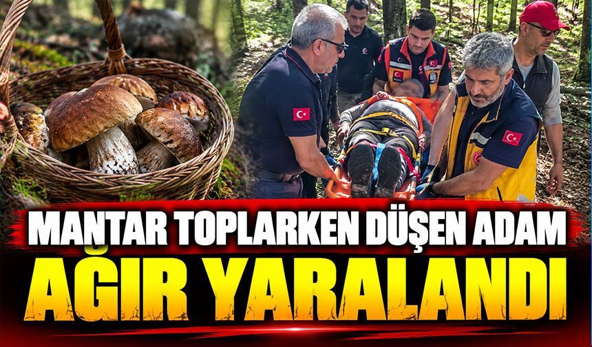 Mantar toplarken düşen adam ağır yaralandı