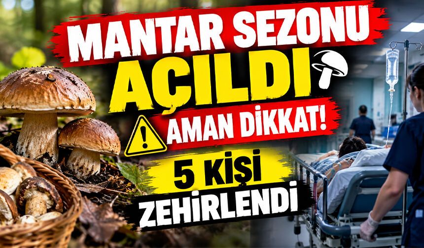 Mantar sezonu açıldı, 5 kişi zehirlendi