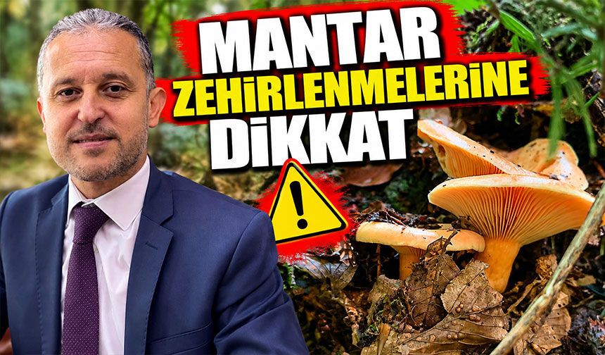 Mantar zehirlenmelerine dikkat