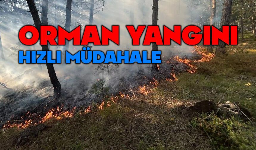 Orman yangını büyümeden söndürüldü