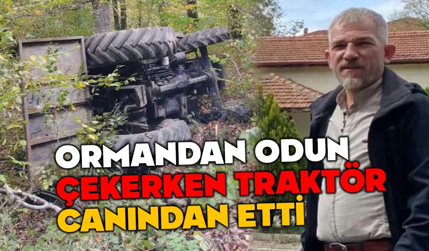 Ormanda devrilen traktörün altında kaldı