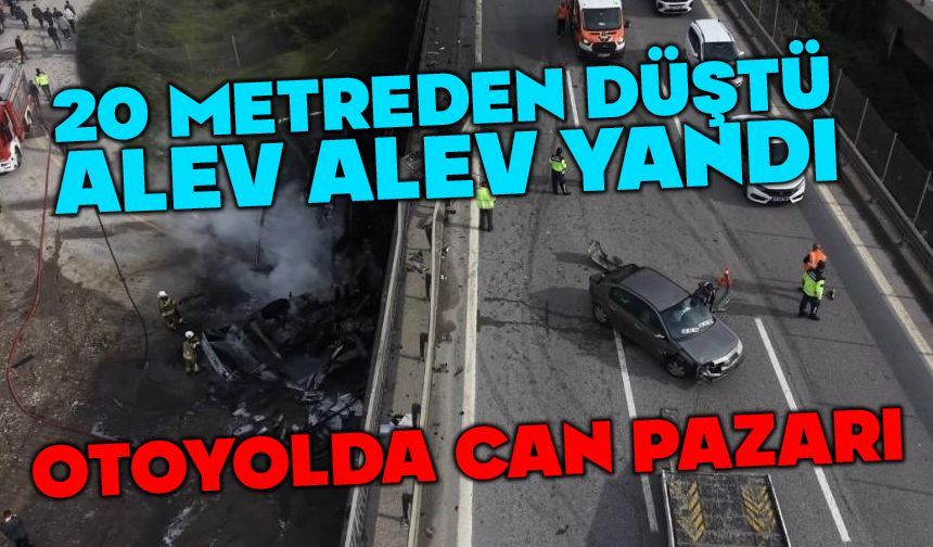 Lastiği patlayan tır alev topuna döndü