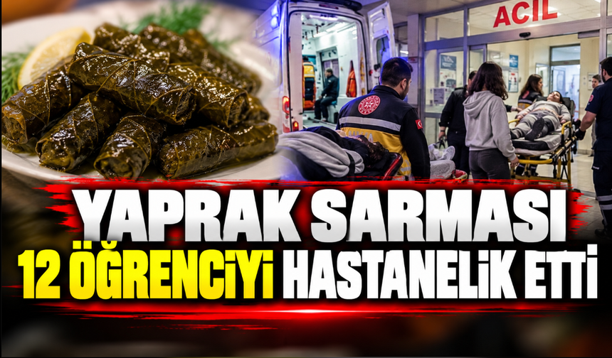 Yaprak sarması 12 öğrenciyi hastanelik etti