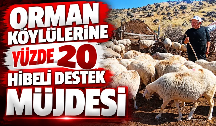 Bolu’da orman köylülerine yüzde 20 hibeli destek müjdesi