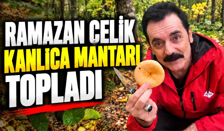 Ünlü sanatçı Ramazan Çelik, Bolu ormanlarında kanlıca mantarı topladı